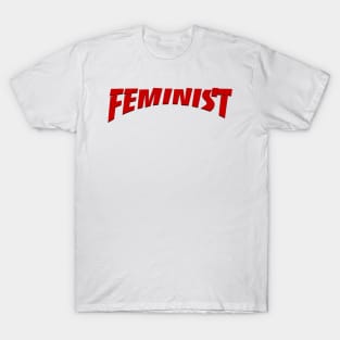 Feminist - Intersectional T-Shirt